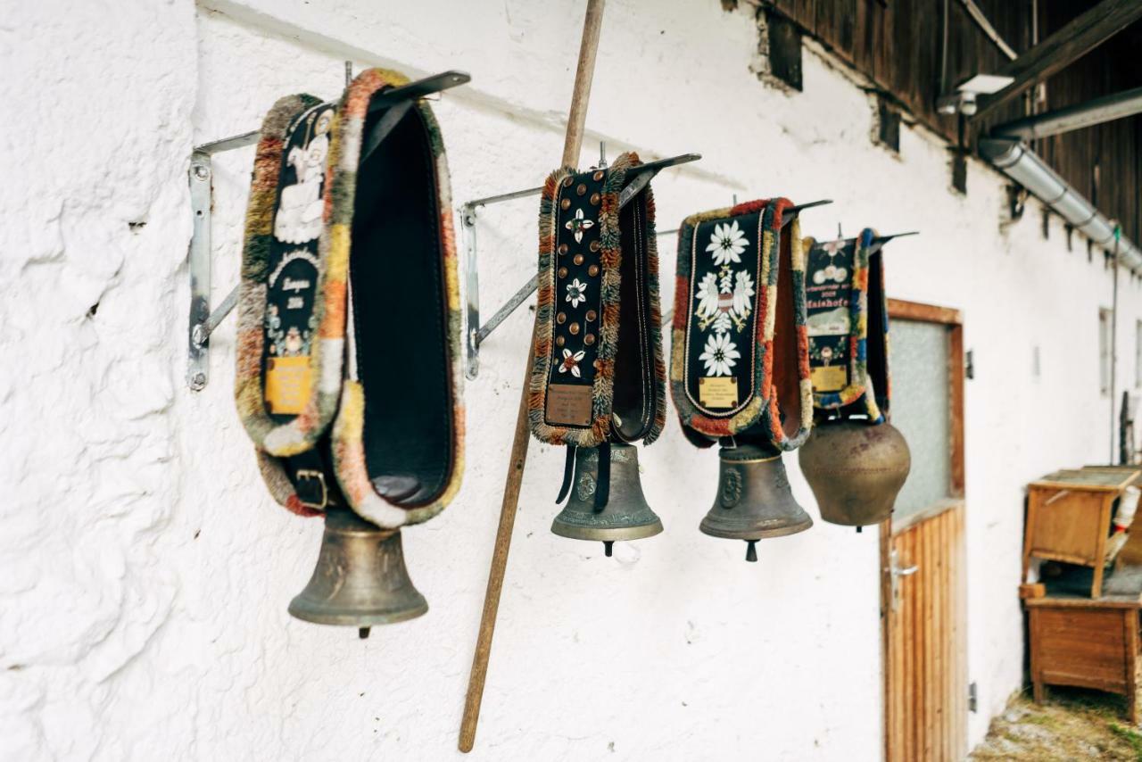 Bauernhof Gut Neusess Mauterndorf (Salzburg)